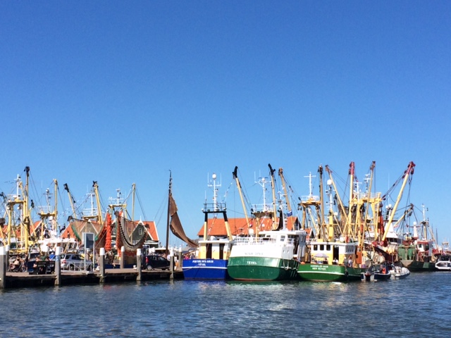 Pelabuhan Oudeschild