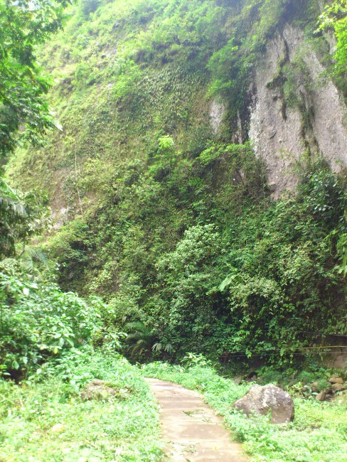 Pemandangan menuju Air Terjun Madakaripura