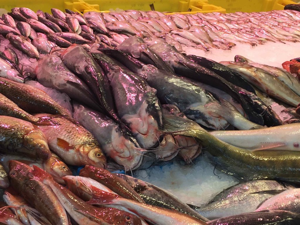 De Haagse Markt - Den Haag - Belanda Stan ikan. Ikan lele pun ada